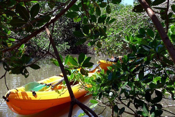 South Caribbean Tour in Martinique - Key Points