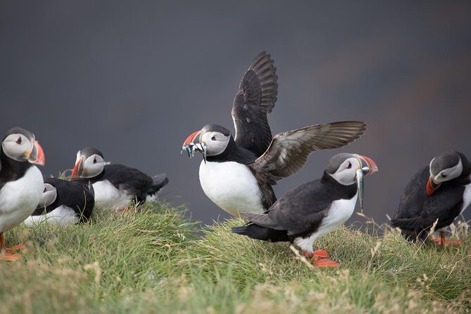 South Coast / guided private tour - A Closer Look at the Itinerary and Highlights
