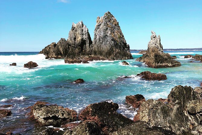 South Coast Nature Tour - Exploring the South Coast Nature Tour: A Day of Scenic Beauty and Authentic Encounters