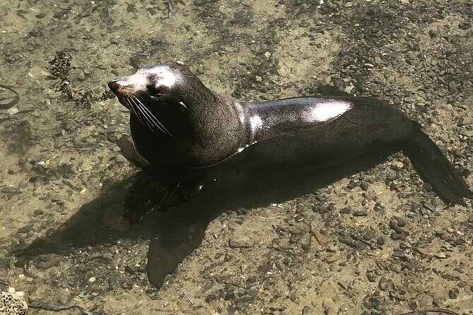 South Coast Nature Tour - Why We Think This Tour Offers Real Value