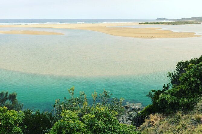 South Coast Nature Tour - Who Will Love This Tour?