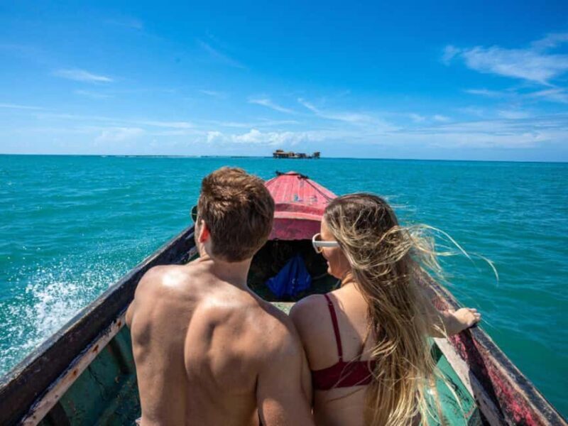 South Coast: Pelican Bar & Black River Safari Experience - A Close Look at the Tour Experience