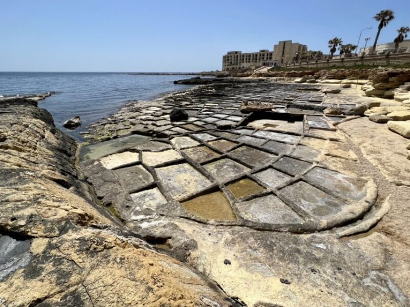 South Coast Private Nature Walking Tour with Transport - Who Will Love This Tour?