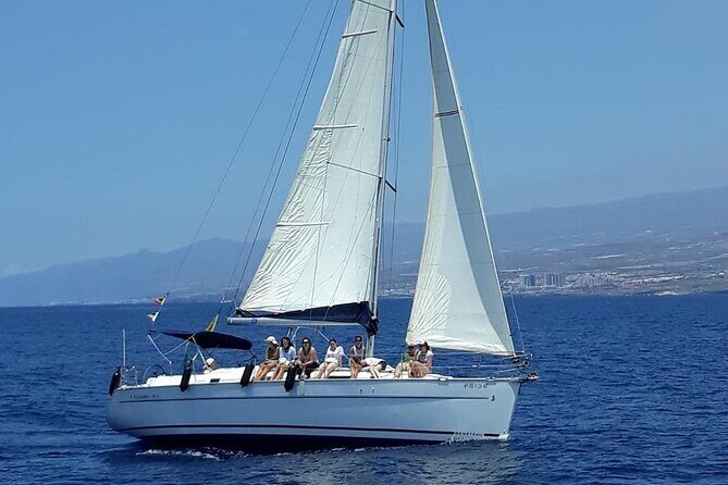 South Coast Tenerife Cruise - Who Will Love This Tour?