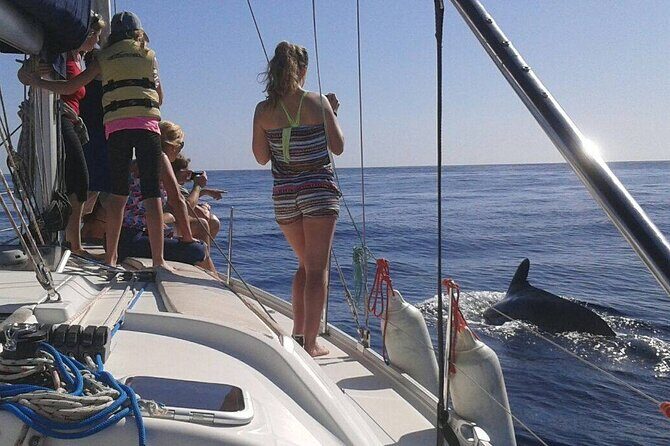 South Coast Tenerife Cruise - Final Thoughts