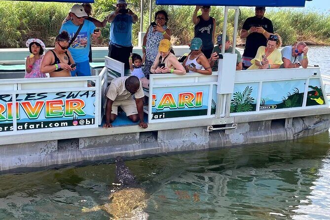 South Coast Tour to YS Falls, Black River Safari and Appleton Rum - A Deep Dive into the South Coast Tour Experience