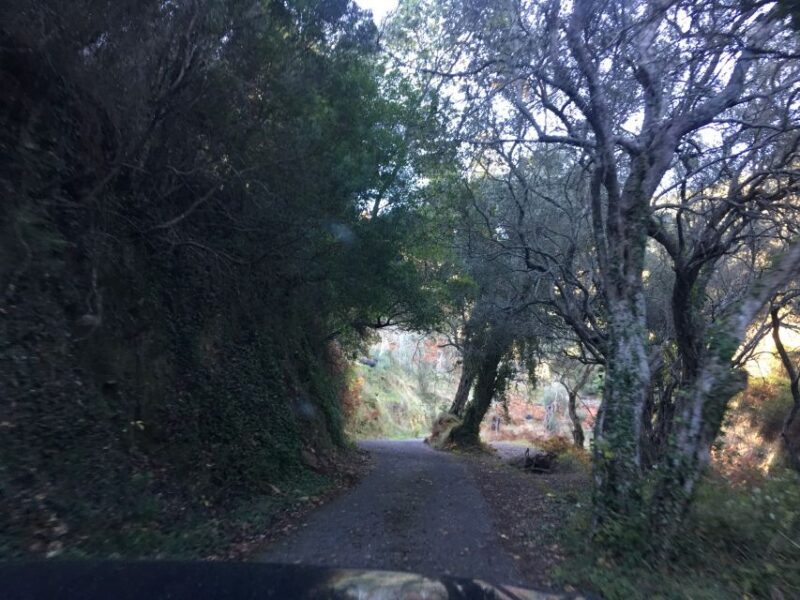 South Corfu Premium 4x4: Villages, Views & Flavours - Final Thoughts