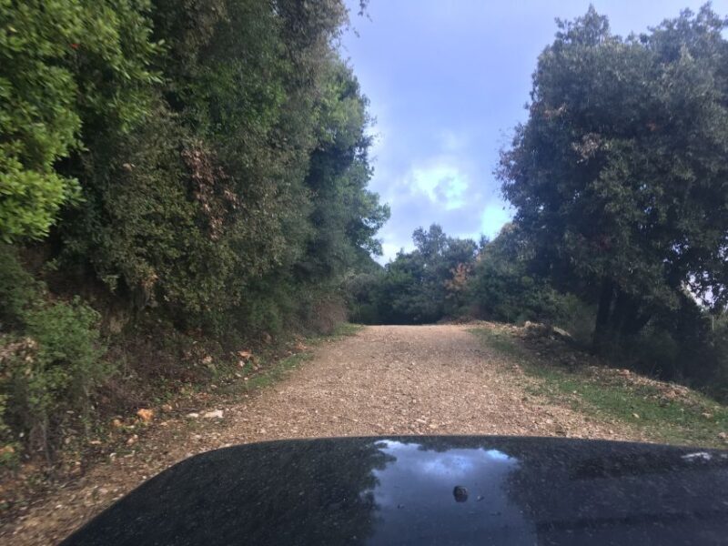South Corfu Premium 4x4: Villages, Views & Flavours - FAQ