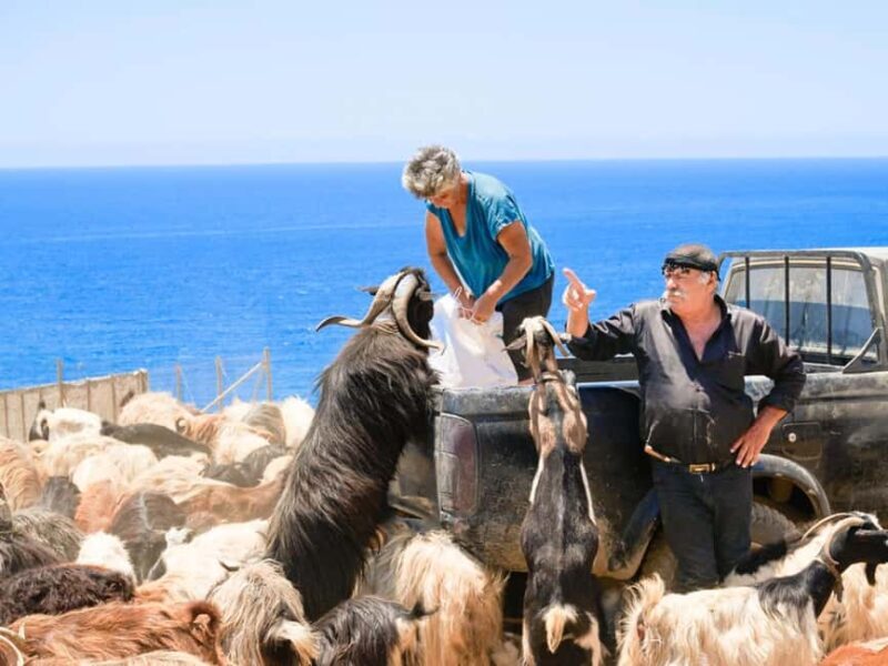 South Crete The Best Jeep Safari - Practical Details and Value