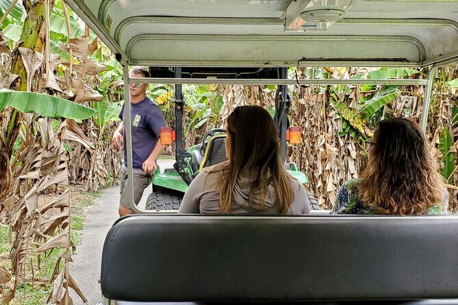 South Florida's Hidden Gems: Wine, Castle, & Tropical Fruits - Exploring South Florida’s Hidden Gems: Wine, Castle, & Tropical Fruits