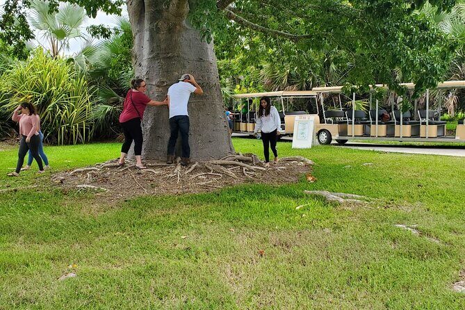 South Florida's Hidden Gems: Wine, Castle, & Tropical Fruits - Potential Drawbacks