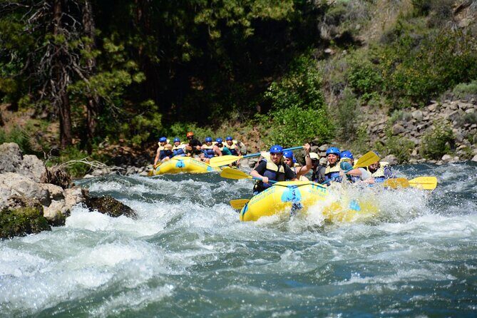 South Fork, American River: Chili Bar (Class III+ Whitewater) - A Detailed Look at the Tour Experience