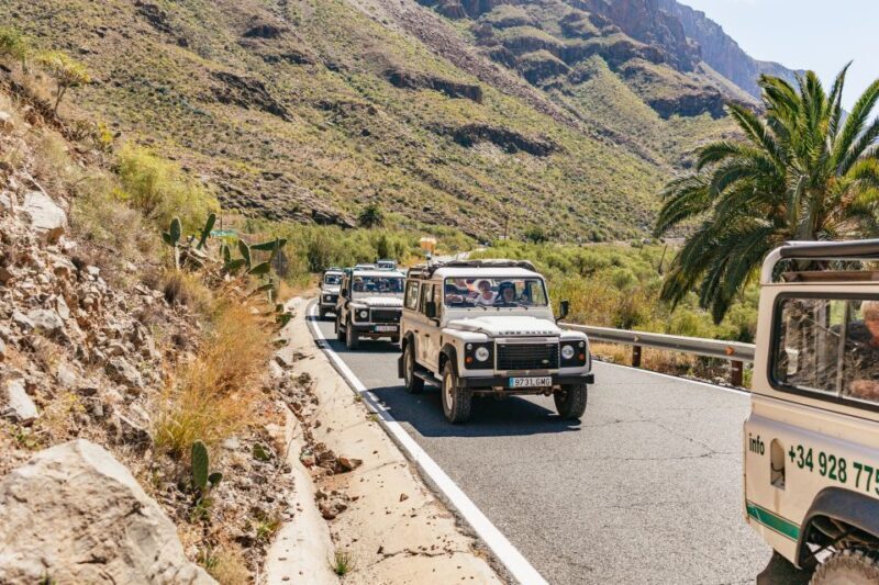 South Gran Canaria: Off-Road Valleys & Villages Jeep Tour - The Experience in Practice
