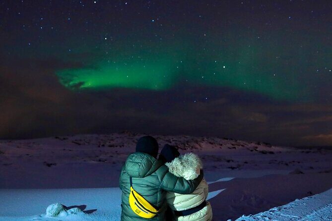 South Iceland Highlights and Northern Lights Combo Full-Day Tour - An In-Depth Look at the South Iceland Highlights and Northern Lights Tour