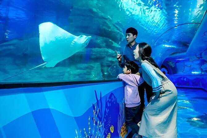 South Korea a Sea Life Busan - Key Points
