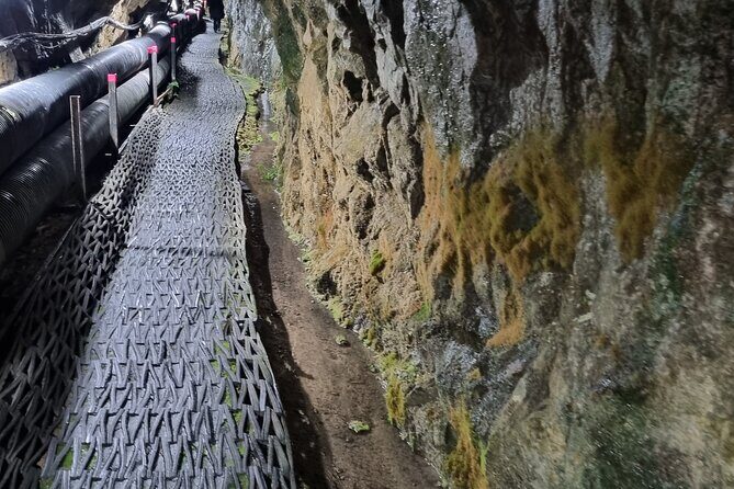 South Korea Demilitarized Zone, DMZ Tour from Seoul - Who Will Love This Tour?