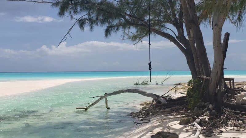 South Long Island 3 Hour Guided Land Tour - An Honest Look at the Tour Experience