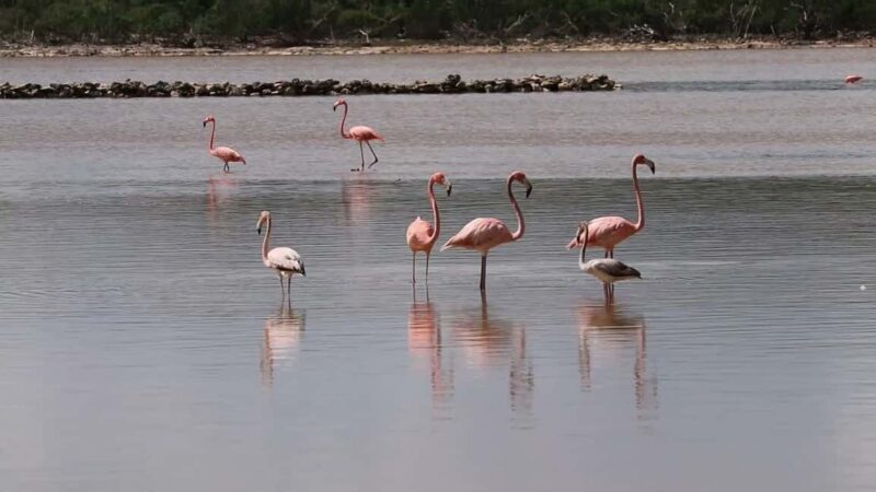 South Long Island 3 Hour Guided Land Tour - Frequently Asked Questions