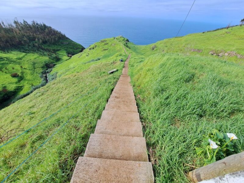 South Madeira:, day tour, breathtaking mountain+coastal trip - Why This Tour Offers Great Value