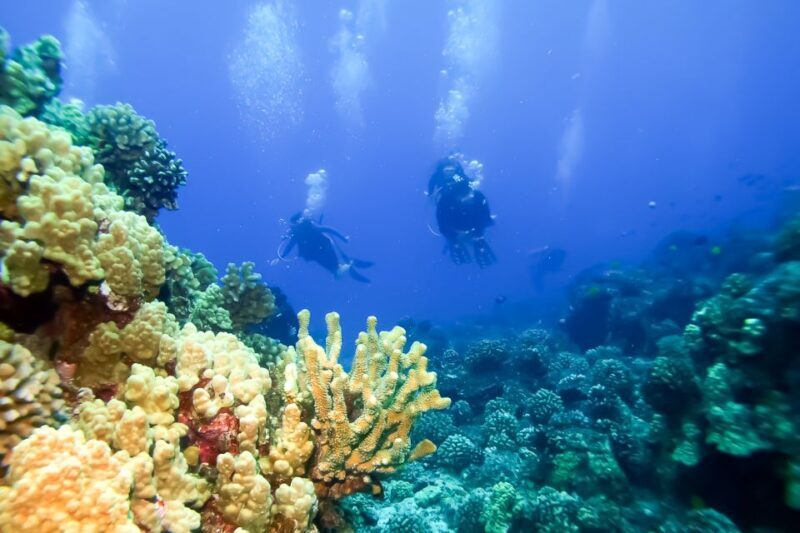 South Maui: Eco Friendly Molokini and Turtle Town Tour - FAQ