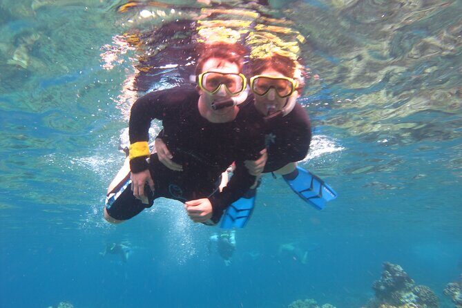 South Maui Kayak and Snorkel Tour with Turtles - Who Will Love This Tour?