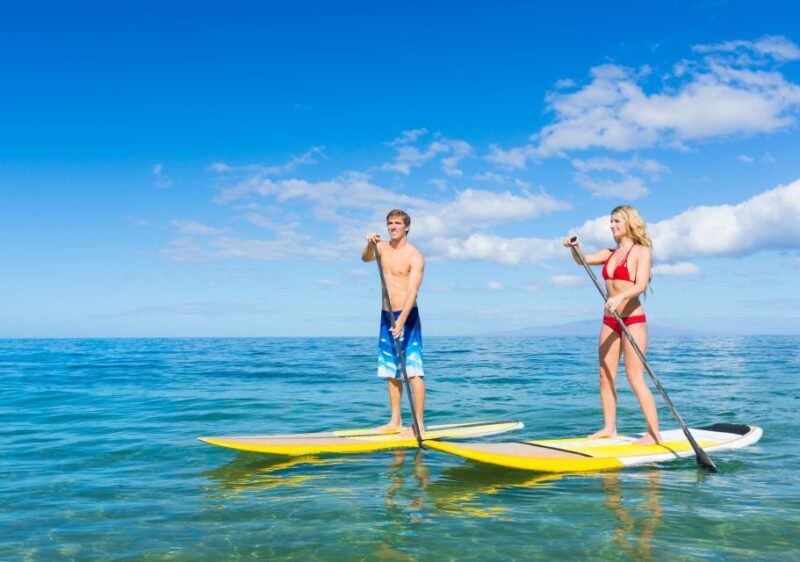 South Maui: Makena Bay Stand-Up Paddle Tour - Who Will Love This Tour?