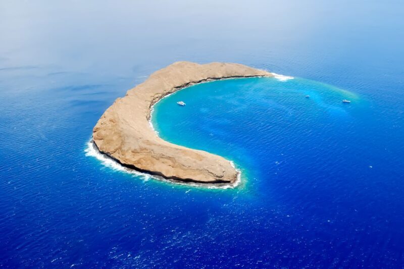 South Maui: Molokini & Turtle Adventure from Maalaea Harbor - The Sum Up: Who Should Consider This Tour?