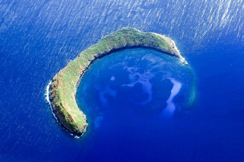 South Maui: Molokini & Turtle Town Snorkeling Tour with Meal - South Maui: Molokini & Turtle Town Snorkeling Tour with Meal — An Honest Review