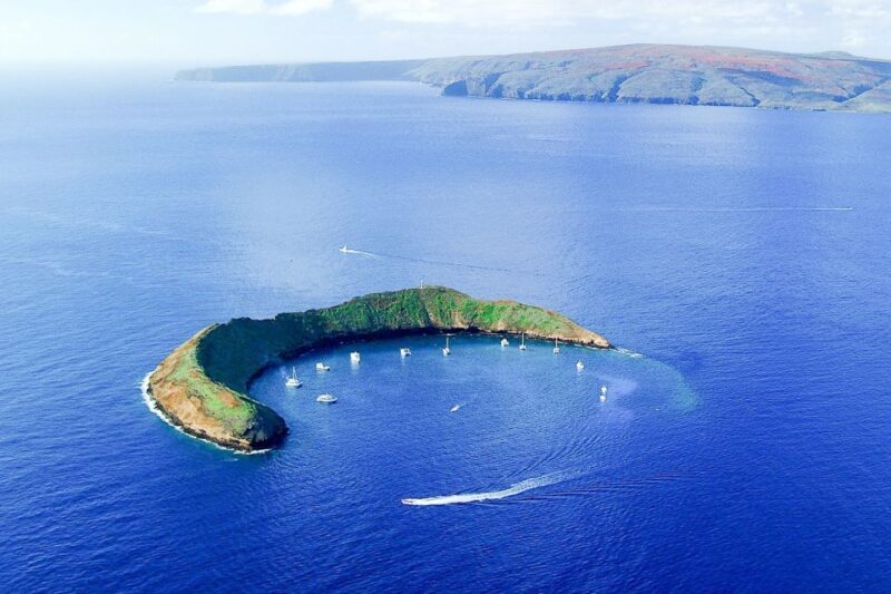 South Maui: Molokini & Turtle Town Snorkeling Tour with Meal - Key Points
