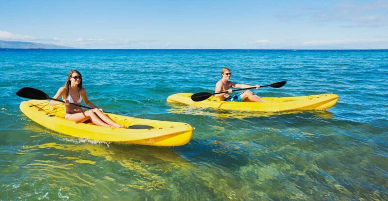 South Maui: Premium Turtle Town Kayak and Snorkel Tour - Who Will Love This Tour?