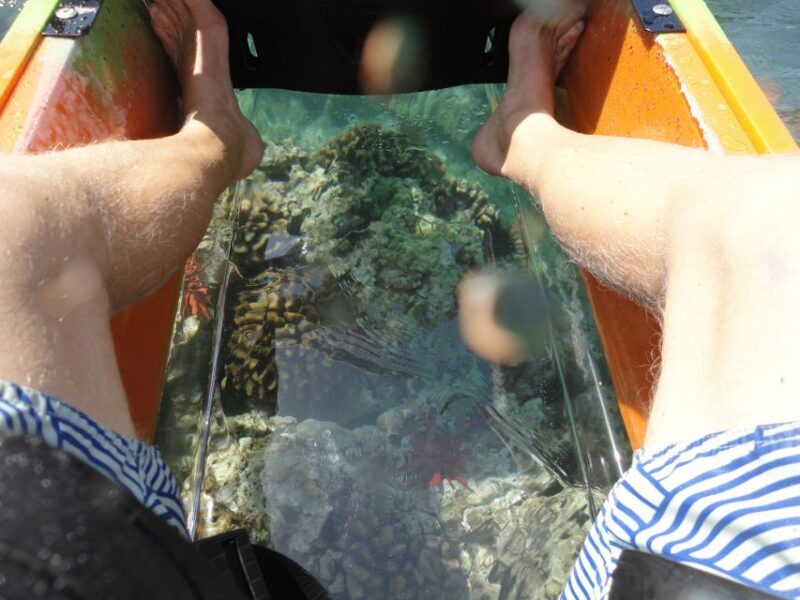 South Maui: Self Guided Clear Bottom Kayak Tour - FAQ