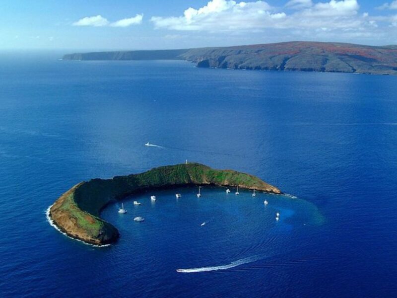 South Maui: Snorkel to Coral Gardens or Molokini Crater - Frequently Asked Questions