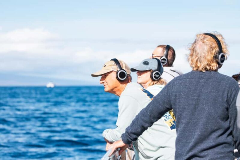 South Maui: Whale Watch Sail with Live Immersive Whale Songs - Discover the Magic of South Maui: Whale Watch Sail with Live Immersive Whale Songs