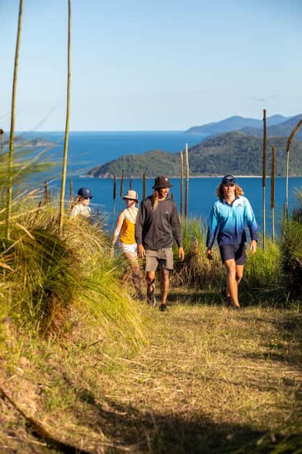 South Molle Island Self Guided Walking Tour - What to Expect from the South Molle Island Self Guided Tour
