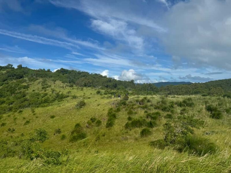 South Molle Island Self Guided Walking Tour - In-Depth Analysis: Understanding the Value