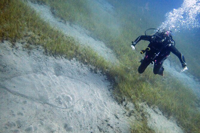 South of Tenerife : DSD Scuba Diving for beginners, Adeje - The Sum Up