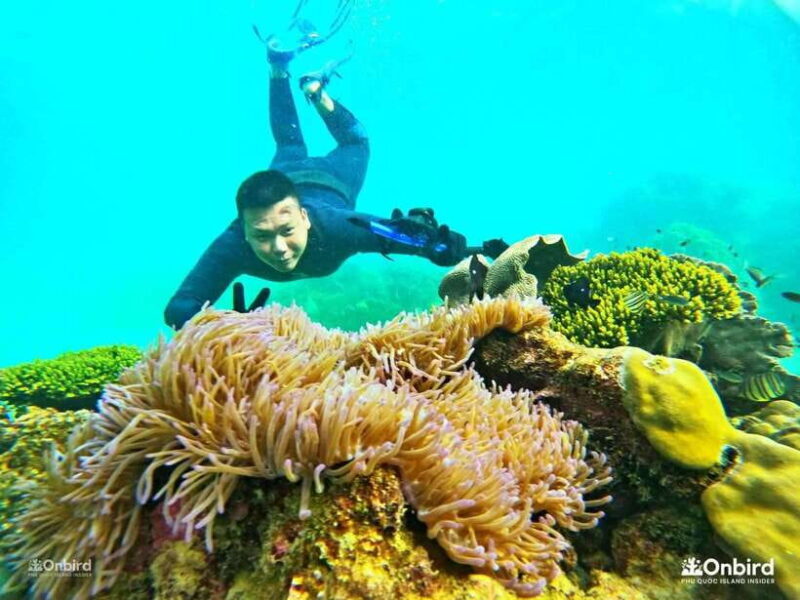 South Phu Quoc: 3-4 Hours Private Snorkeling Trip - Discovering South Phu Quoc: A Private Snorkeling Escape