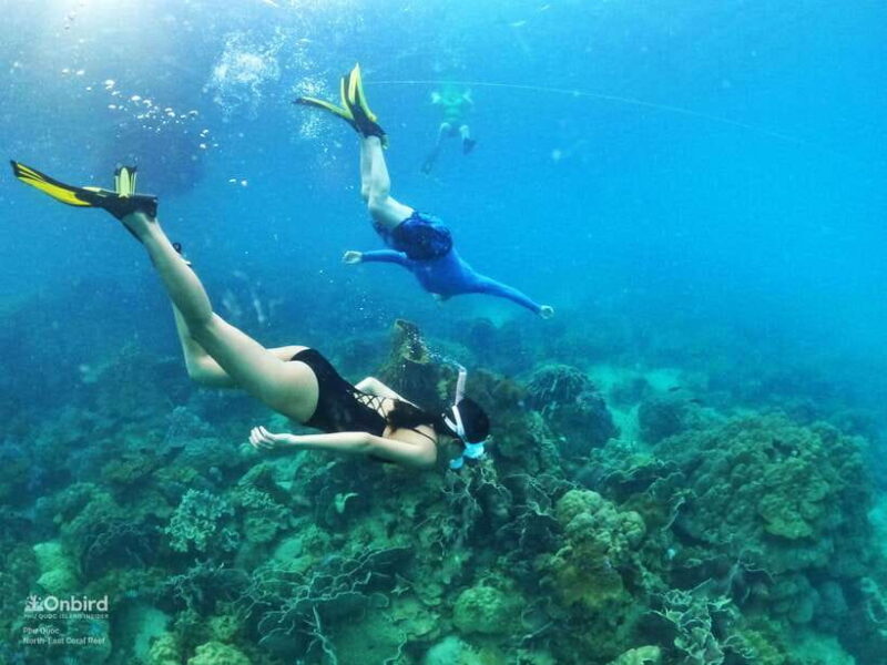 South Phu Quoc: Pro Snorkeling Tour by Speedboat - Key Points