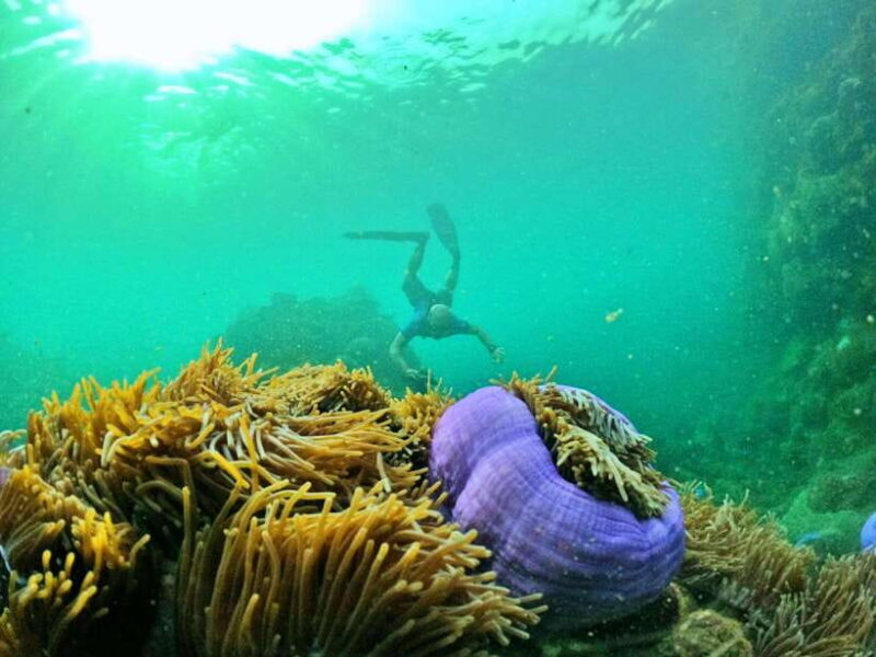 South Phu Quoc: Pro Snorkeling Tour by Speedboat - Final Thoughts