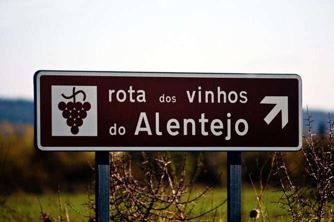 South Portugal Wine Route Private Full Day Tour from Lisbon - A Closer Look at the South Portugal Wine Route Tour