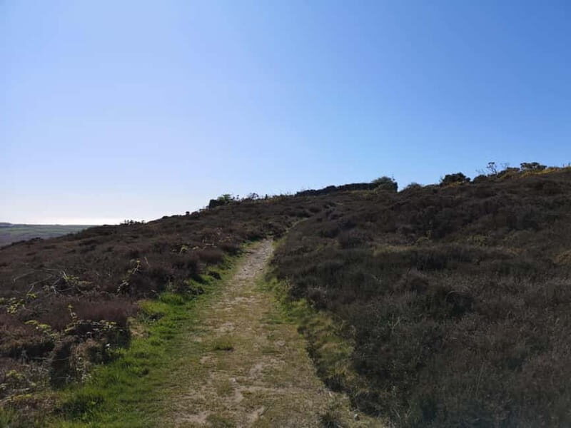 South Stack: Coastal Walking Tour with Café & History - Key Points