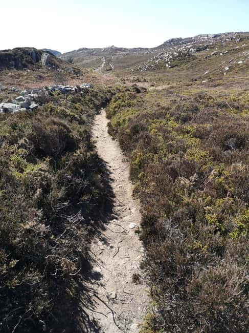South Stack: Coastal Walking Tour with Café & History - Exploring Holy Island: A Closer Look