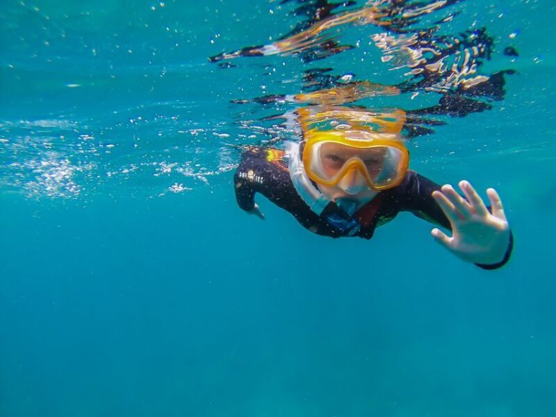 South Tenerife: Guided Snorkeling - Practical Details and Tips