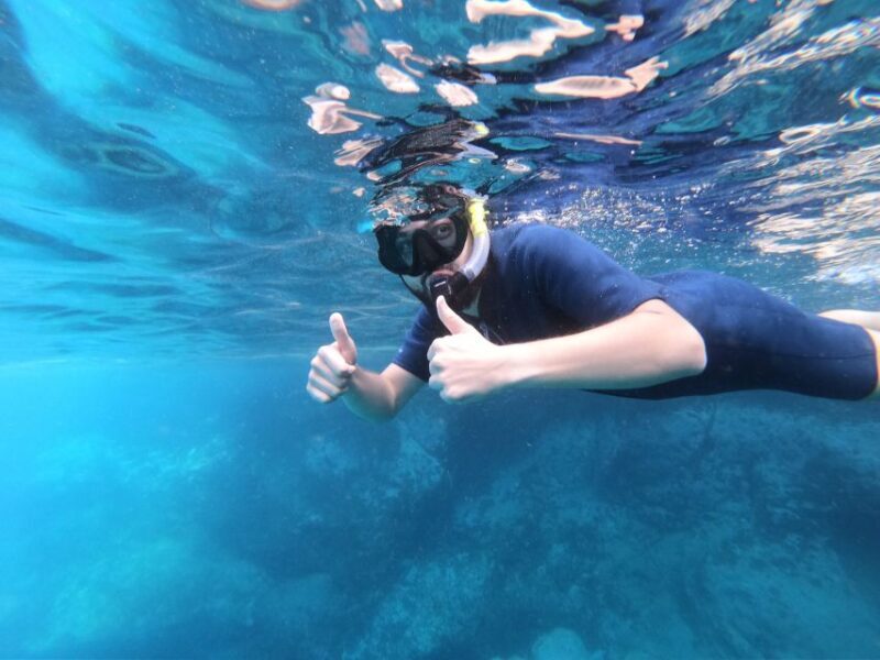 South Tenerife: Guided Snorkeling - Final Thoughts: Who Will Appreciate This Tour?