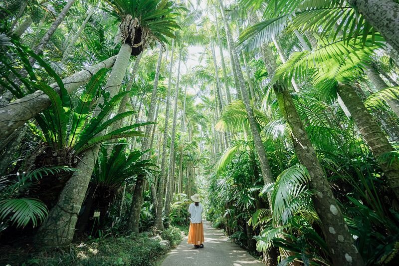 Southeast Botanical Gardens Admission Ticket (Okinawa) - At a glance