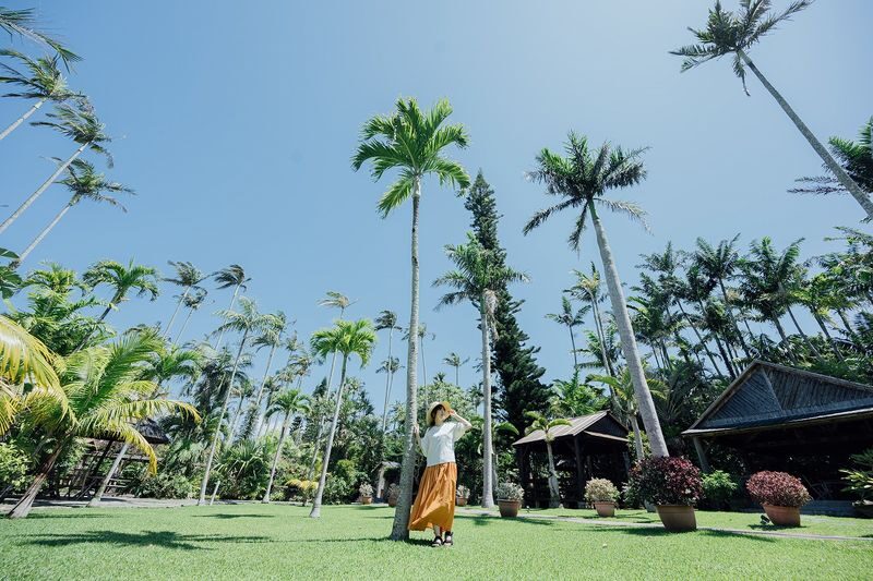 Southeast Botanical Gardens Admission Ticket (Okinawa) - Tropical paths, palms and flowers