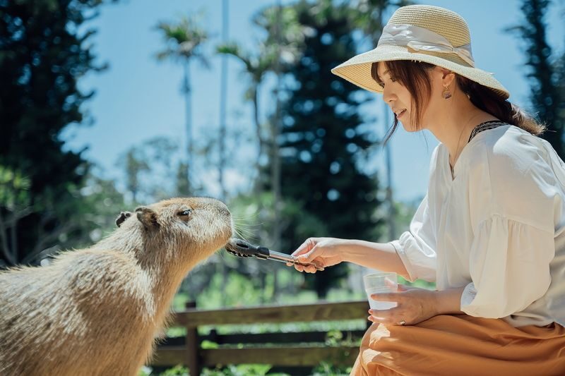 Southeast Botanical Gardens Admission Ticket (Okinawa) - Is the ticket good value?