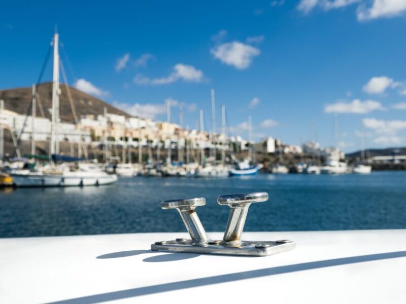 Southeast Fuerteventura: Boat Cruise with Lunch and Drinks - Final Thoughts