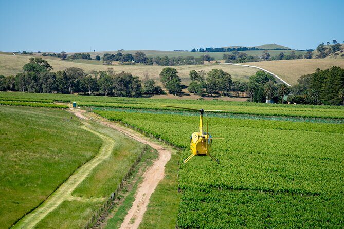 Southern Barossa: 10-Minute Helicopter Flight - The Experience: What You Can Expect