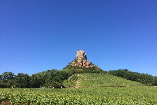 Southern Burgundy Wine Tour - Full Day Shared tour from Lyon - Authentic Burgundy: A Full Day of Wine and Scenic Beauty from Lyon
